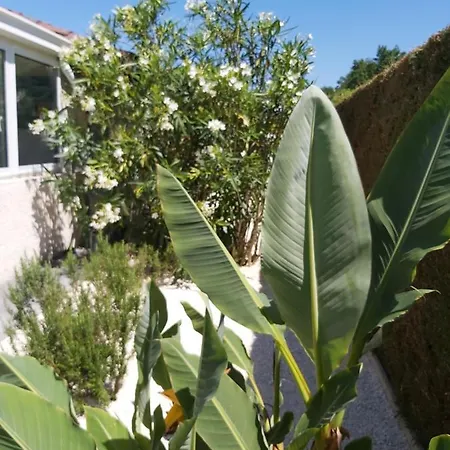 Le Soleil Couchant *