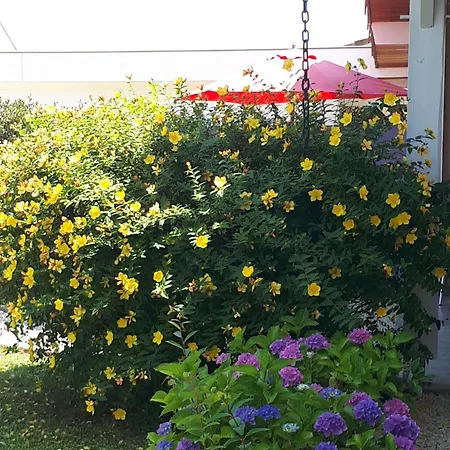 Bed and breakfast Le Soleil Couchant