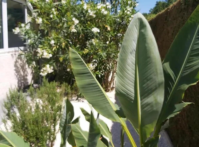 Le Soleil Couchant *